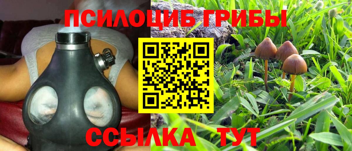 Рославль  Псилоцибиновые грибы Psilocybine cubensis  Вход с VPN 